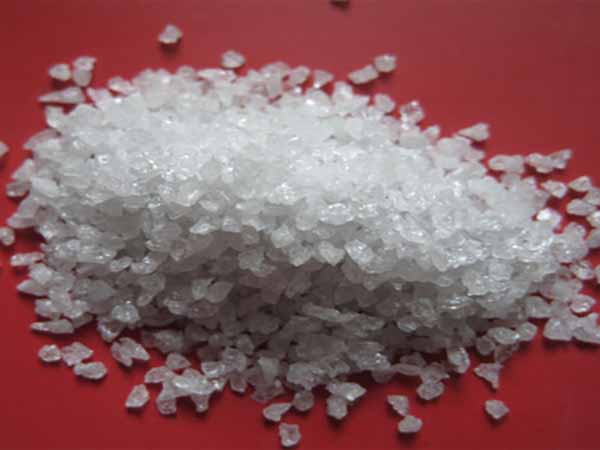 3210603193_725555961.jpg 3210603193_725555961.jpg